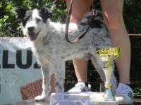 /album/kladensky-vorisek-2010/kladensky-vorisek-2010-jpg/